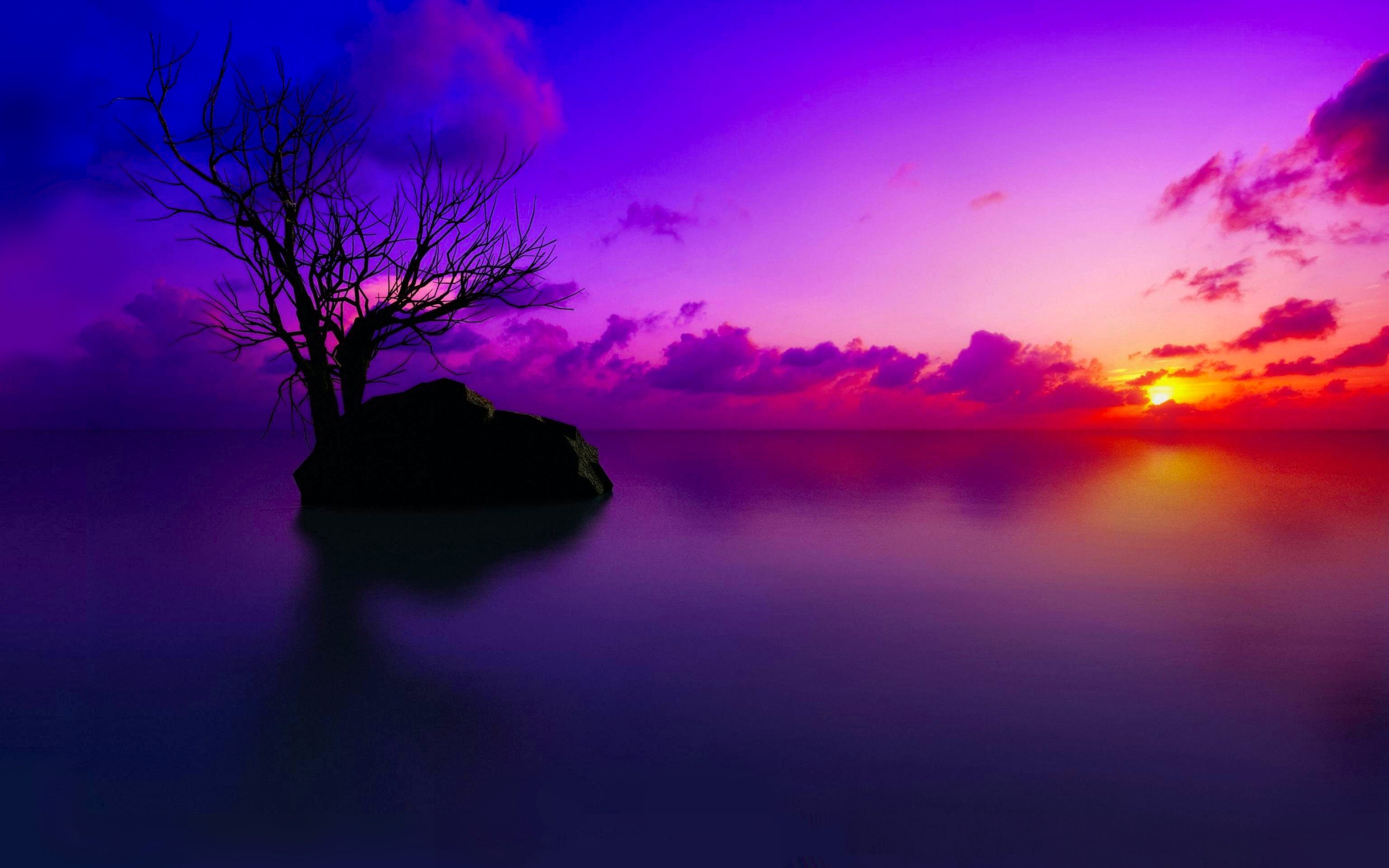 2362 Sunset HD Wallpapers | Backgrounds - Wallpaper Abyss