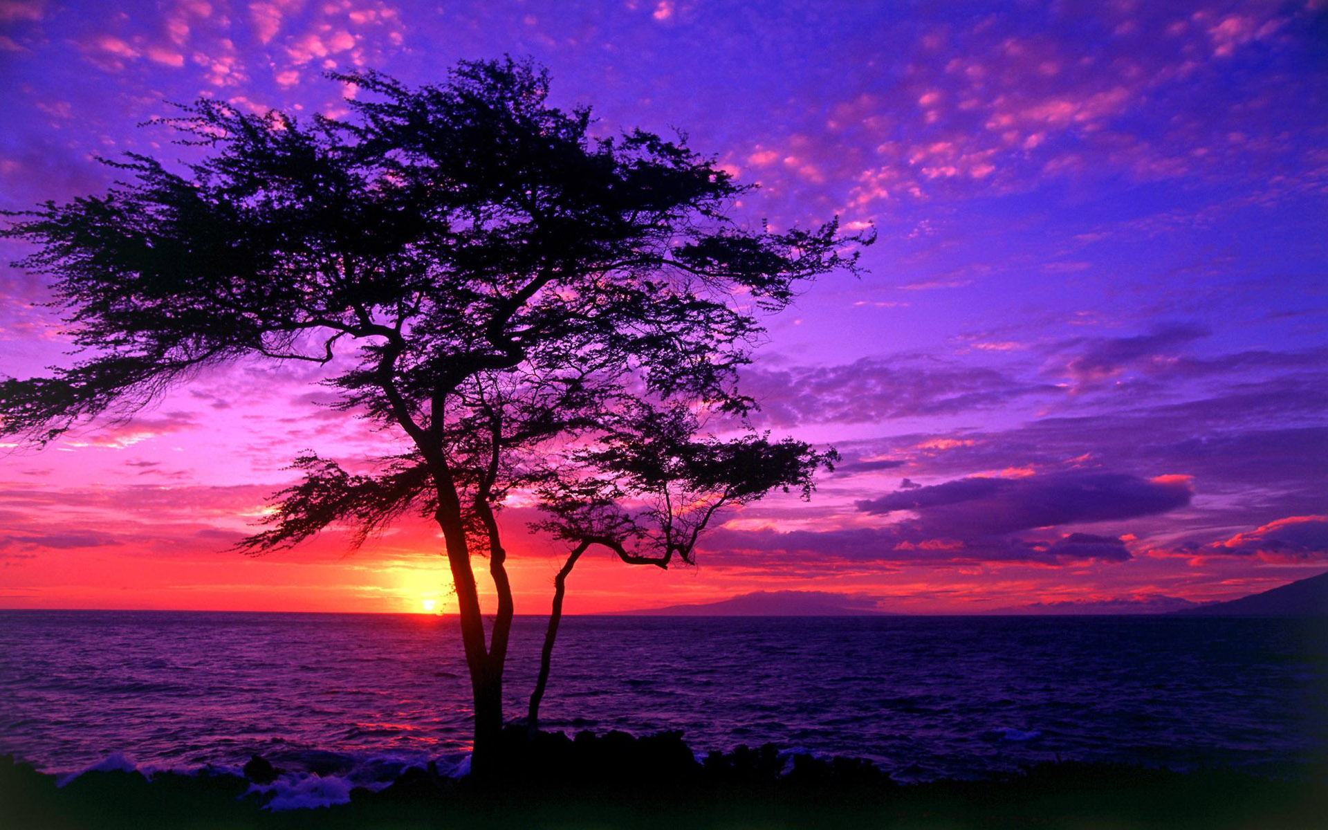 High Quality Purple Beach Sunset Wallpapers 6 - HD Wallpapers N