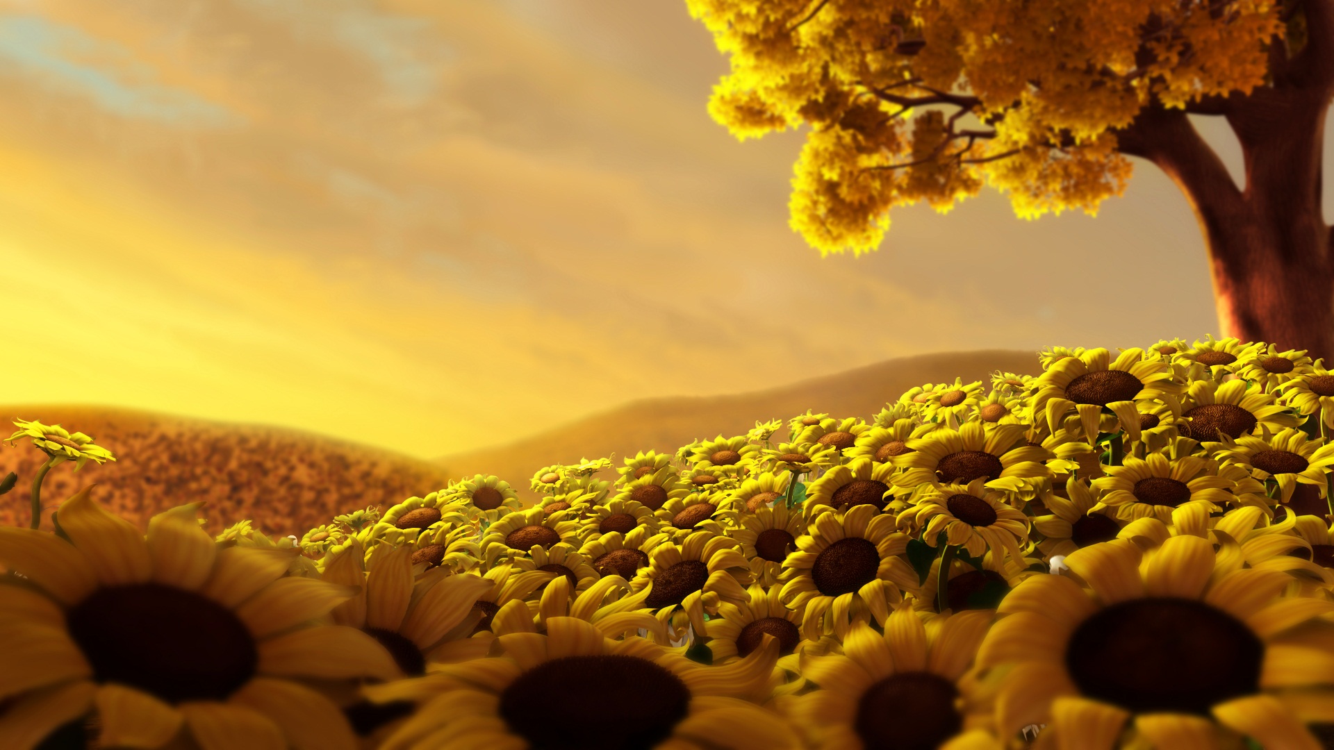 Sunflower Background Desktop Wallpaper, Size: 1920x1080 ...