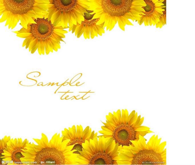 Popular Sunflower Wallpaper-Buy Cheap Sunflower Wallpaper lots ...