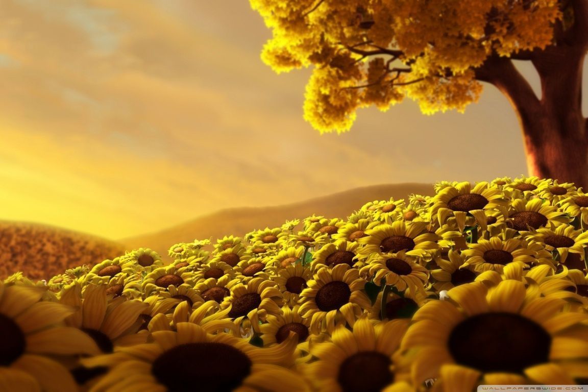 Sunflowers 3D HD desktop wallpaper : High Definition : Mobile