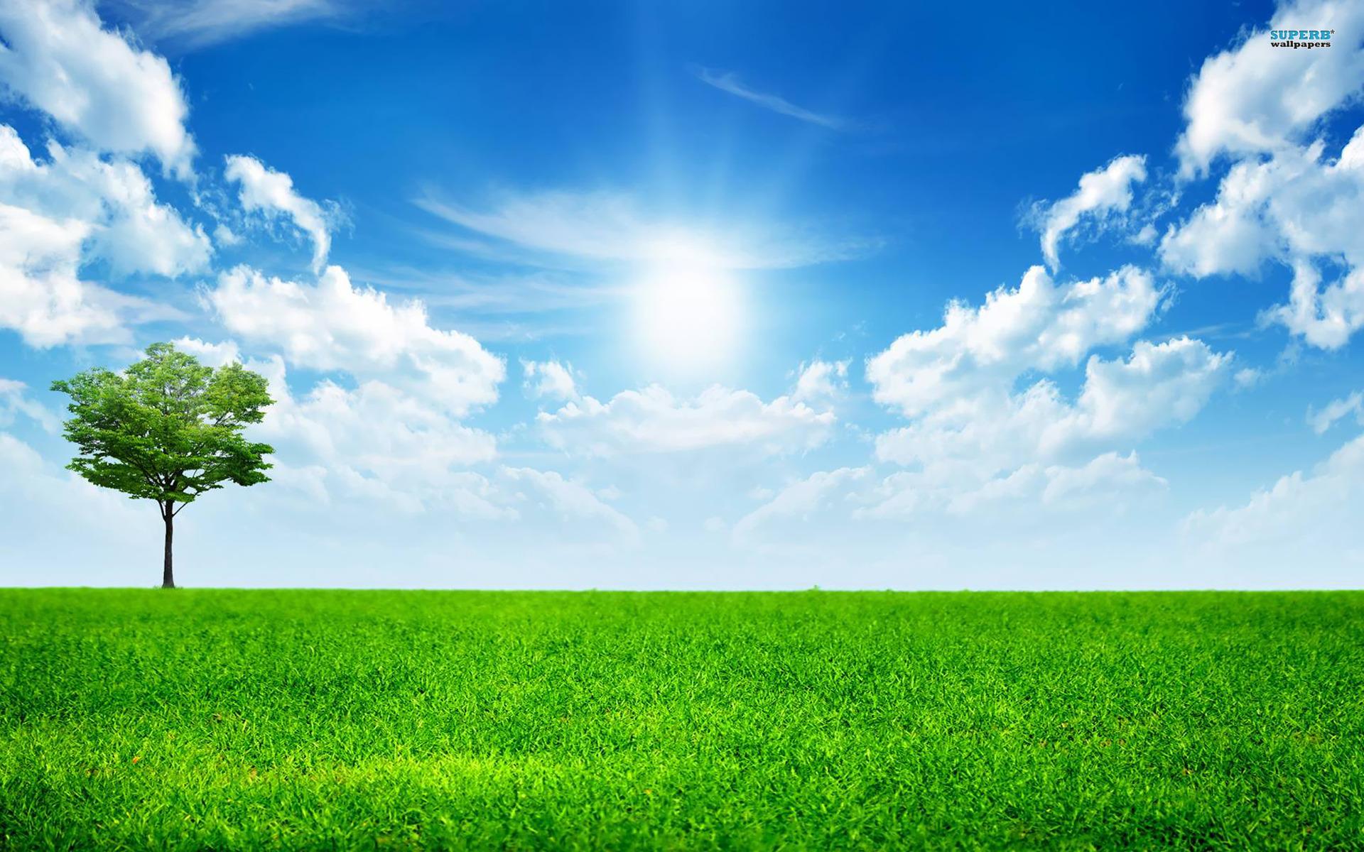 A Bright Sunny Day HD Wallpaper, get it now