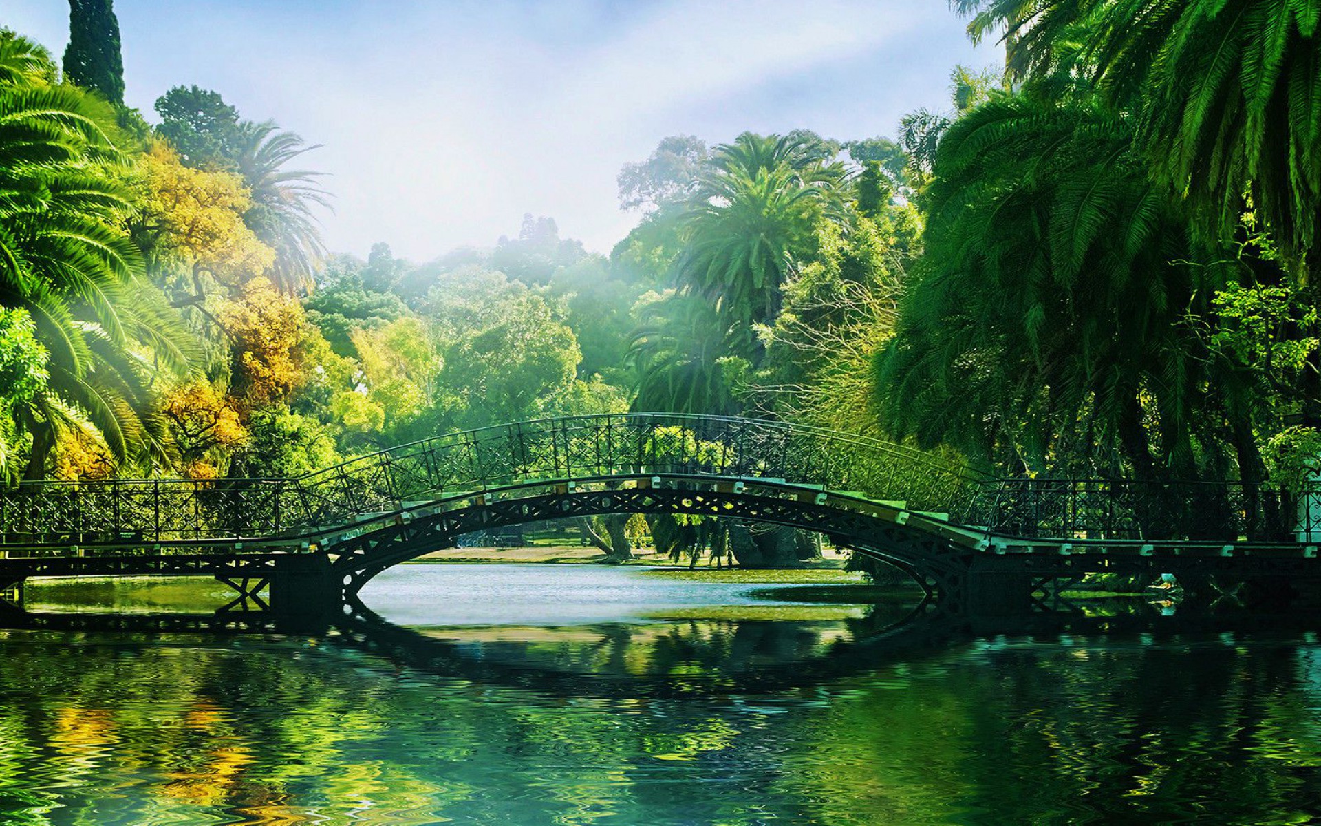 Tropical Park Sunny Day wallpapers | Tropical Park Sunny Day stock ...