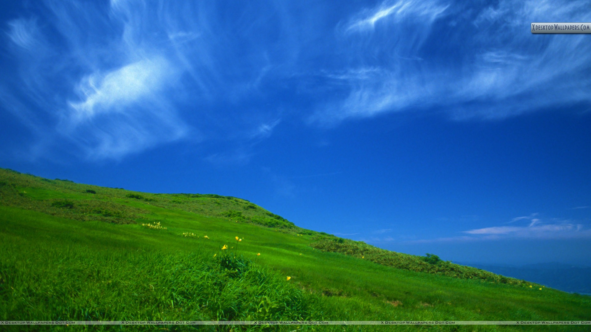 Clear Sky in a sunny day Wallpaper