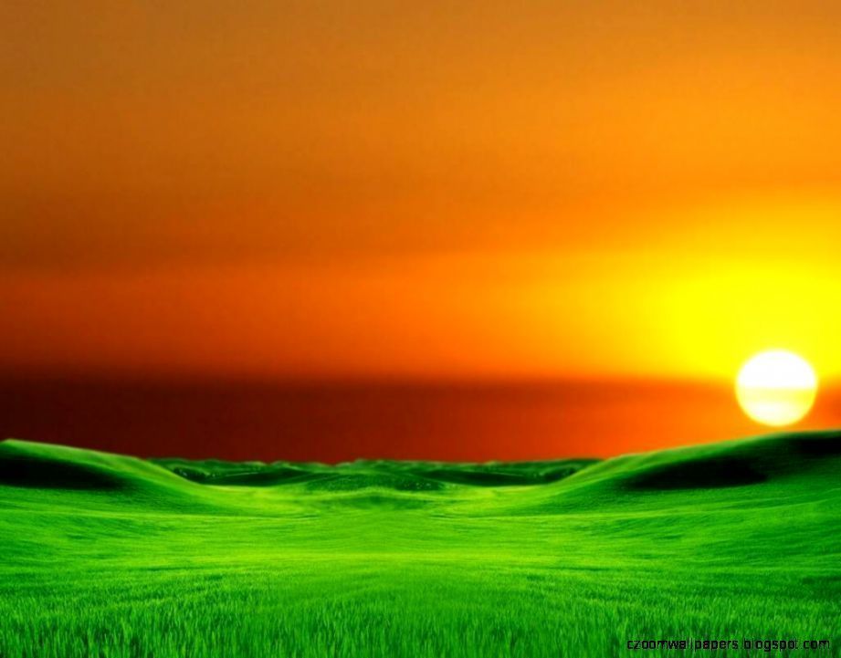 Sunrise Background Wallpaper | Zoom Wallpapers