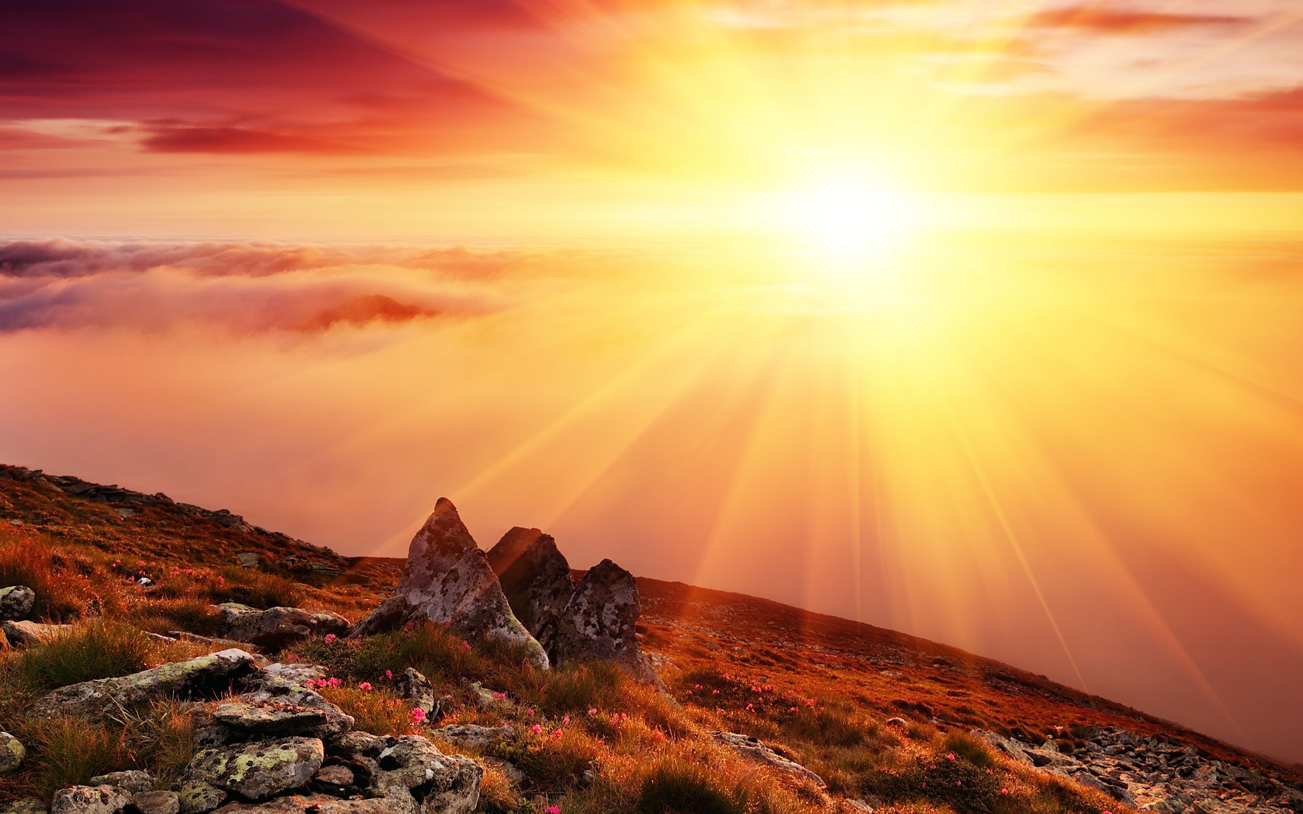 Sunrise Backgrounds Wallpapers Group (76+)