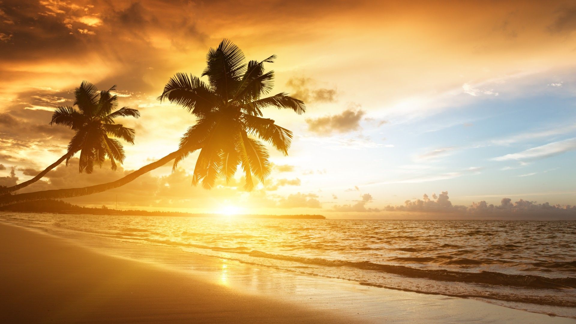 Beach Sunrise Wallpaper Background - Landscape - Landscape