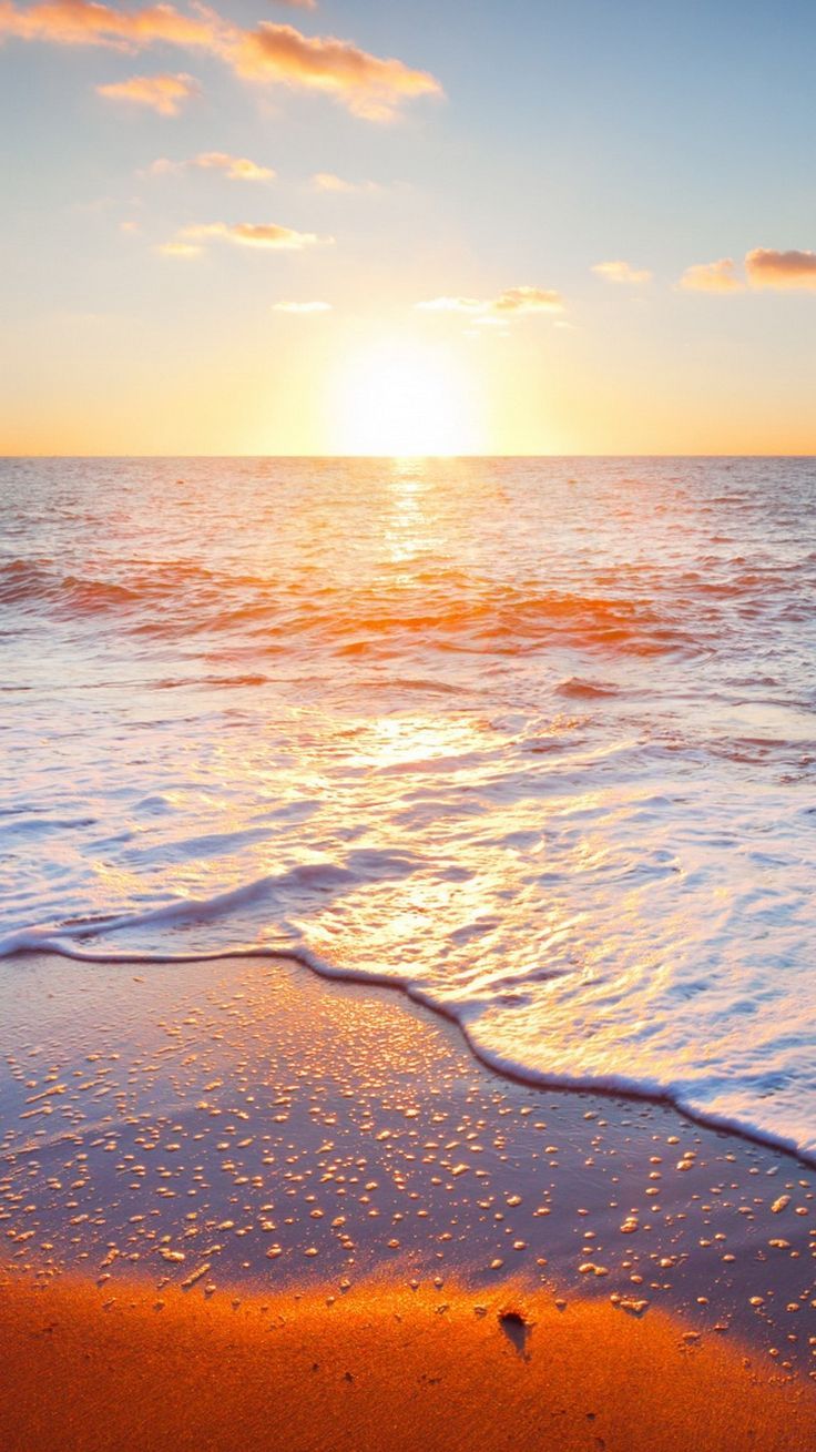 Golden Beach Sunrise iPhone 6 Wallpaper.jpg 750×1,334 pixels ...