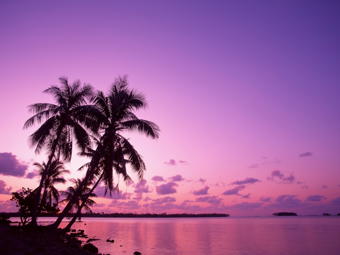 Pink Beach Sunset Desktop Wallpaper HD Pix
