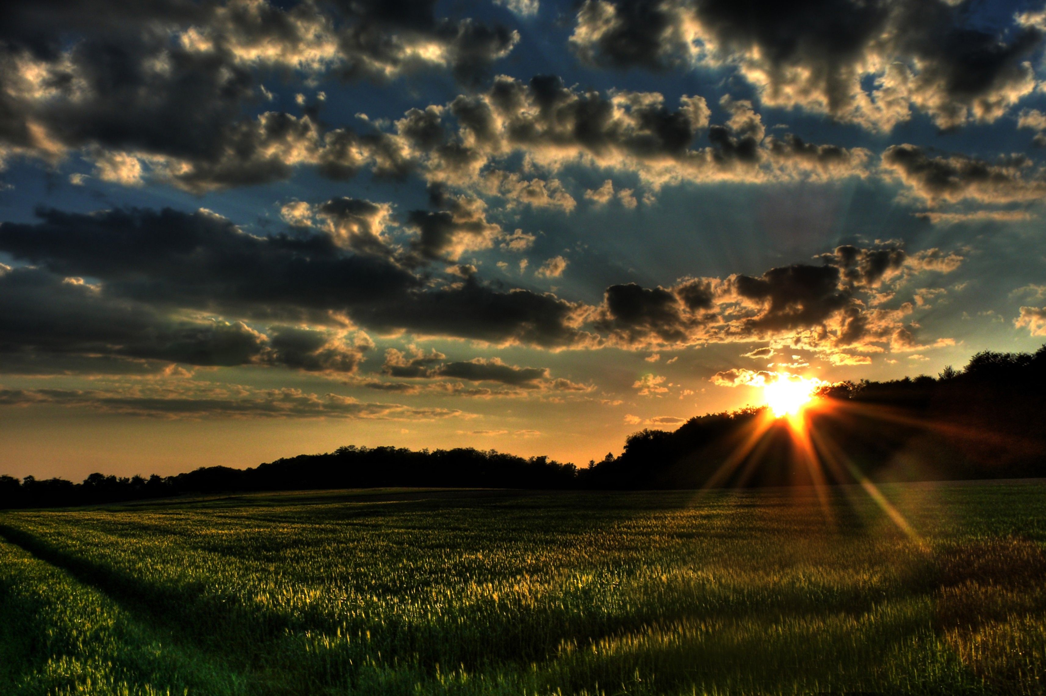 Sunset, nature, grass, plains, skyscapes Backgrounds