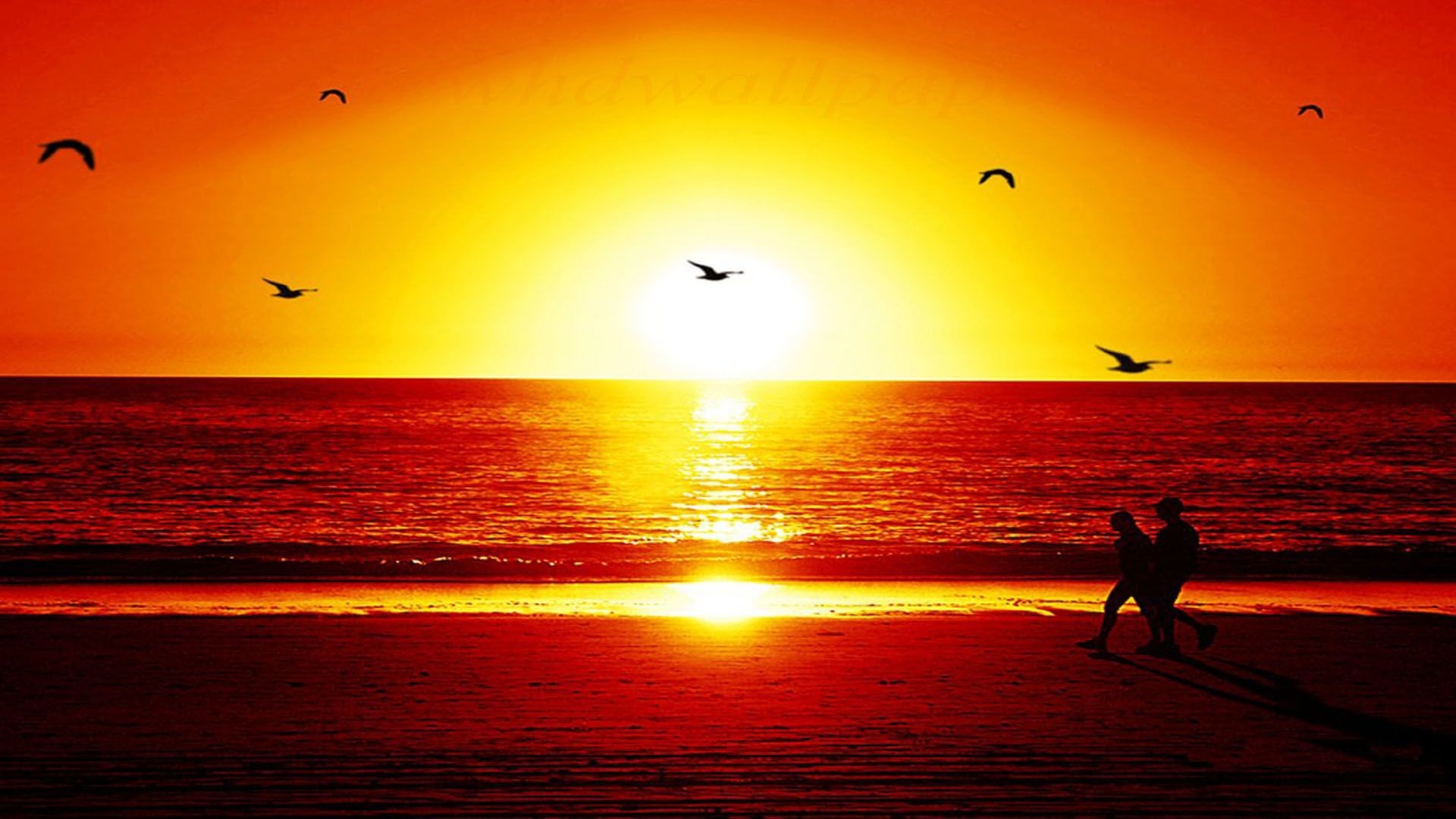 Sunset Wallpapers HD Wallpapers, Backgrounds, Images, Art Photos