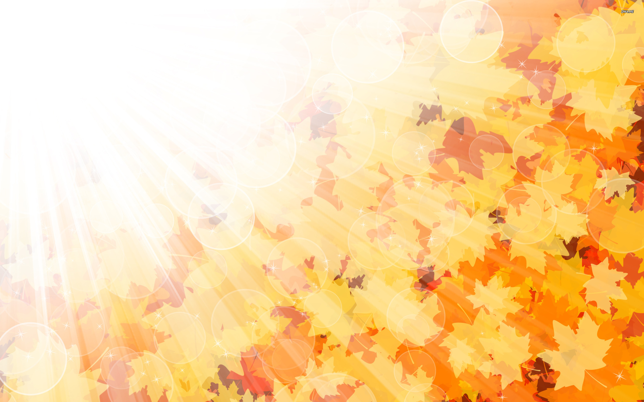 Autumn leaves in the sunshine wallpaper - Digital Art wallpapers ...