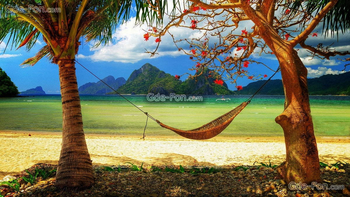 427527_caribbean_paradise_sunshine_sea_beach_hammock_palm_2560x1440_www.Gde-Fon.com.jpg