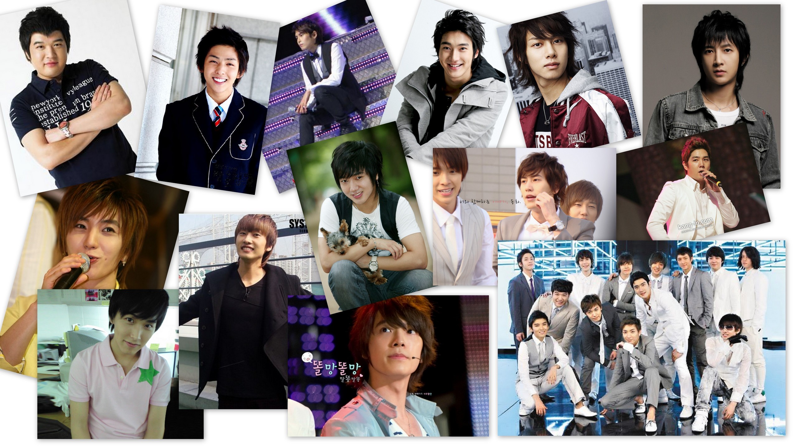 Super Junior 13 Forever - Super Junior Wallpaper 15300850 - Fanpop