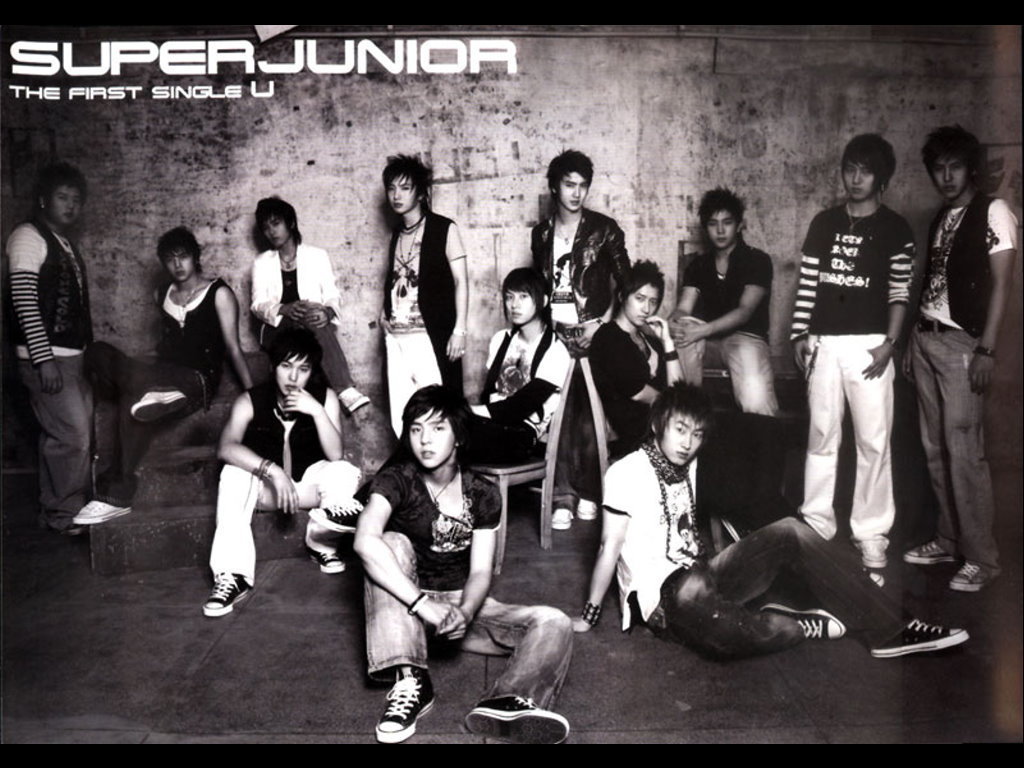 Super Junior Wallpaper - S.M.Entertainment Wallpaper (17541152 ...