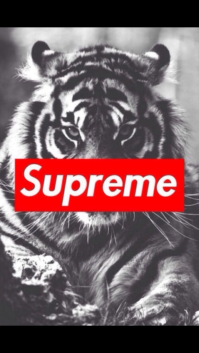 Supreme iPhone wallpapers Pinterest