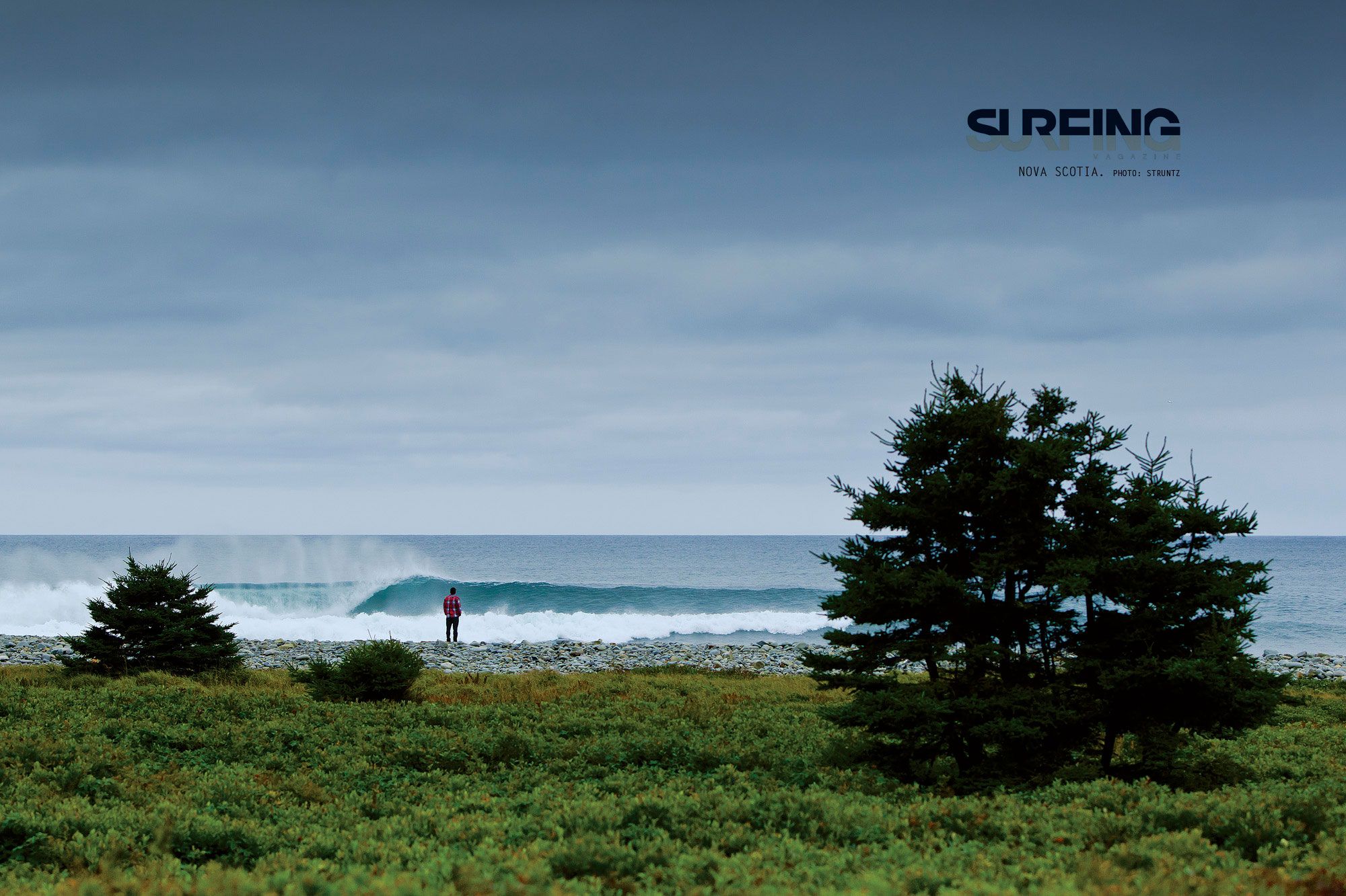 January 2013 Issue Wallpaper | SURFING Magazine