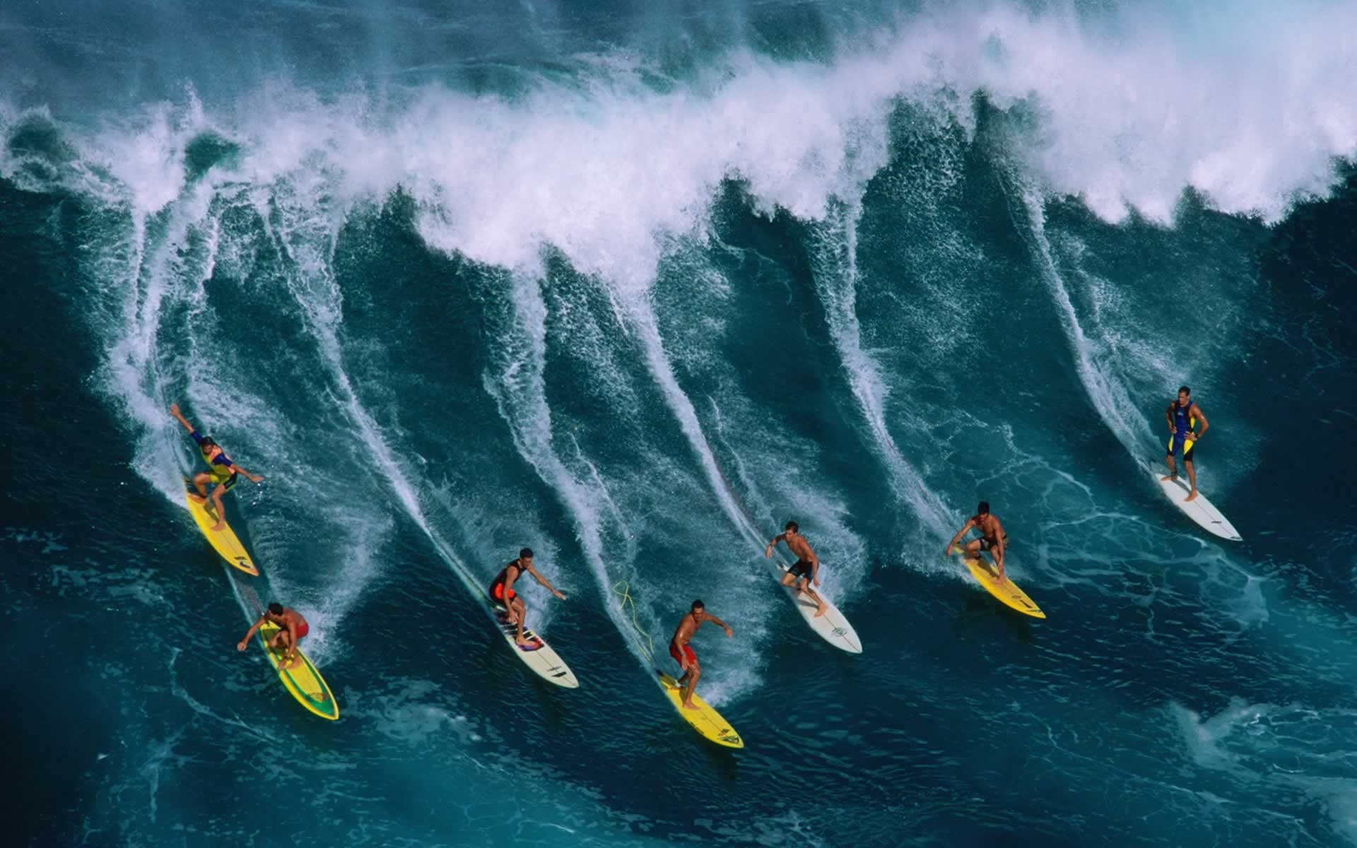 HD Surfing Wallpapers Full HD Pictures