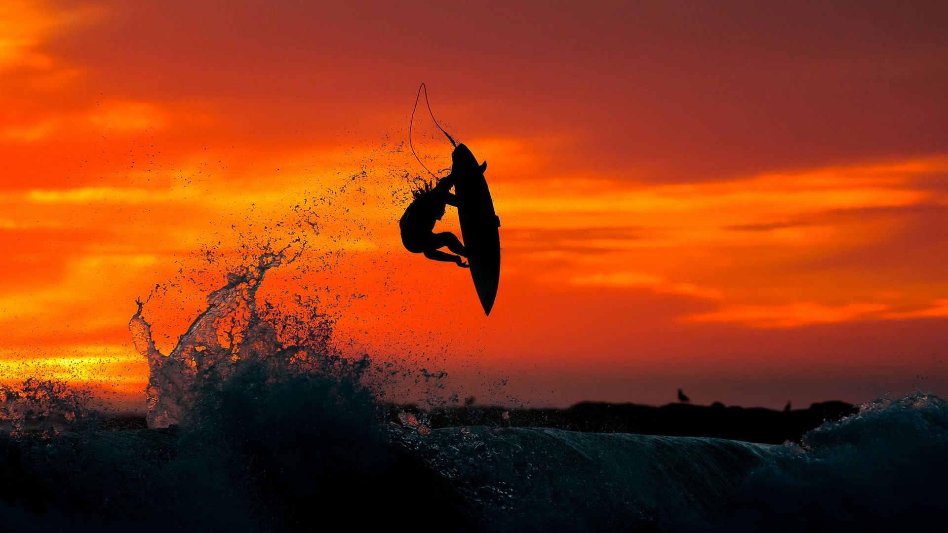 202 Surfing HD Wallpapers Backgrounds - Wallpaper Abyss