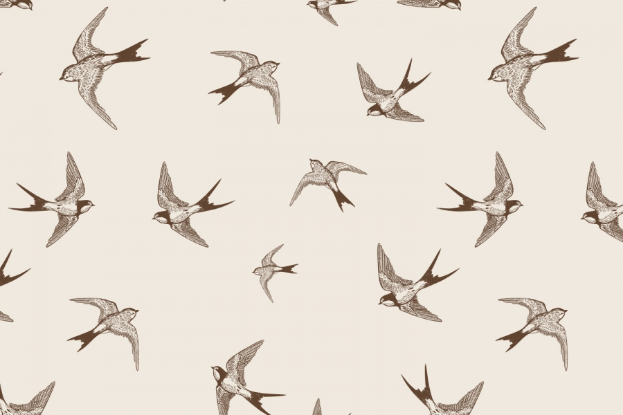 bird #sepia #move | We Heart It | bird, wallpaper, and background