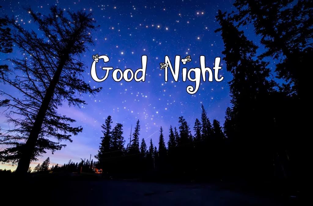 Good Night & Sweet Dreams on Pinterest Good Night, Sweet Dreams