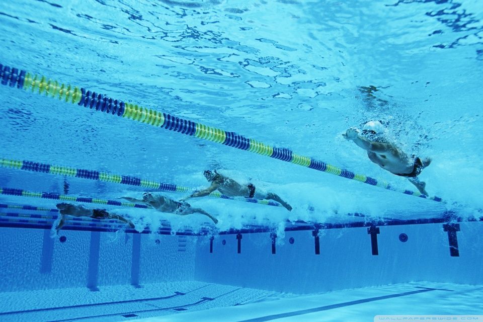 Freestyle Swimming HD desktop wallpaper Widescreen High resolution