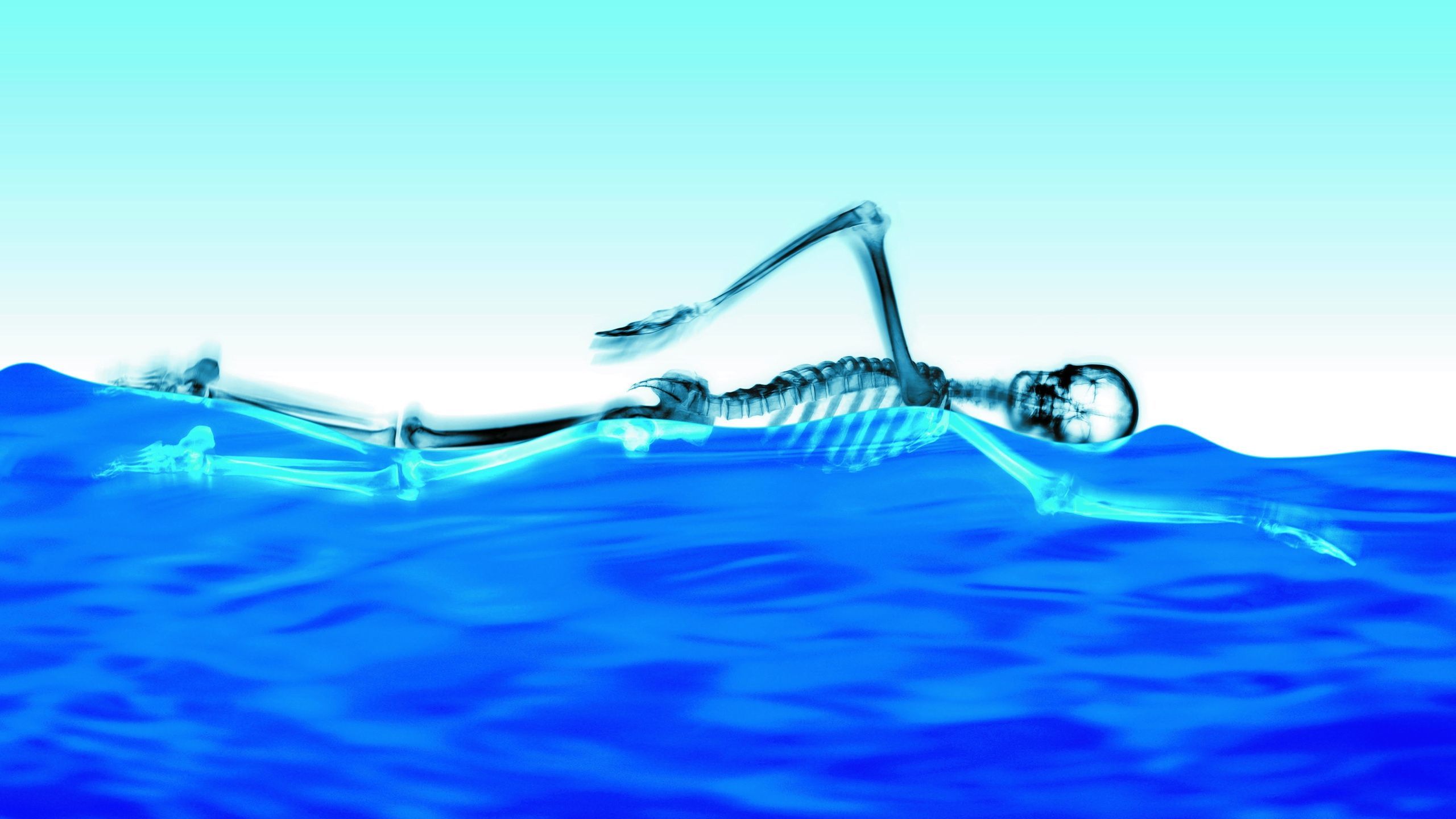 2560x1440 Swimming Skeleton desktop PC and Mac wallpaper