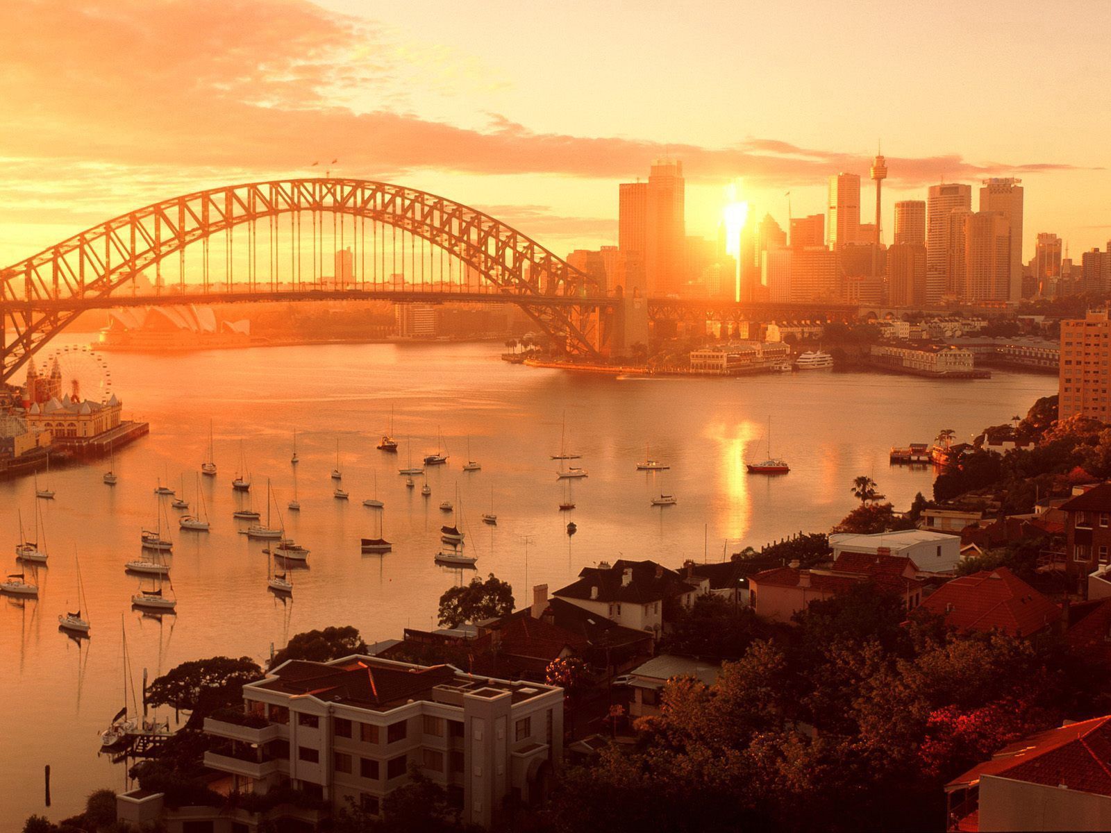 Sun kissed Sydney wallpapers and images - wallpapers, pictures, photos