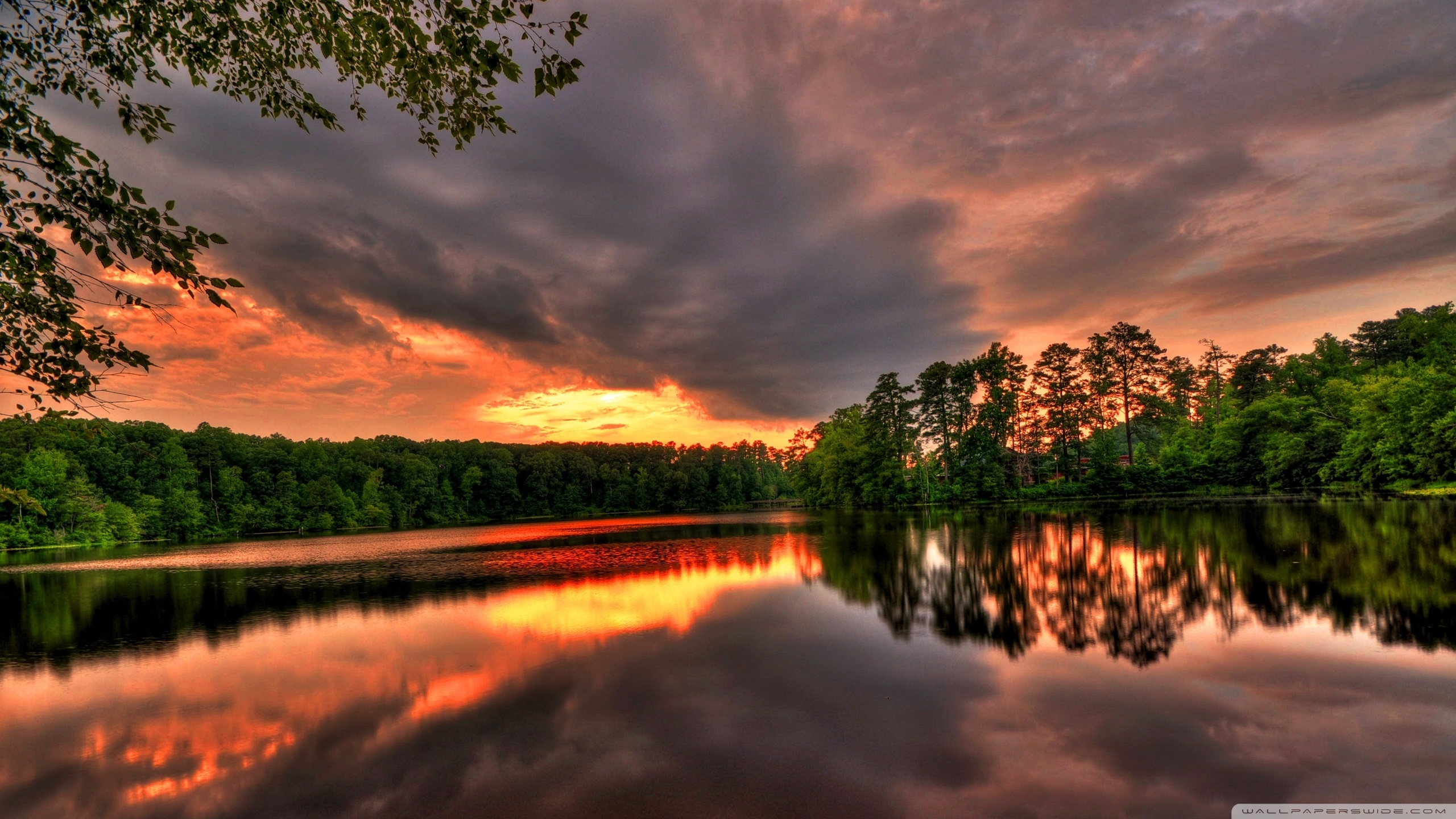 Wallpapers Forest Sunset In River X Samsung Galaxy Tab 2560x1440