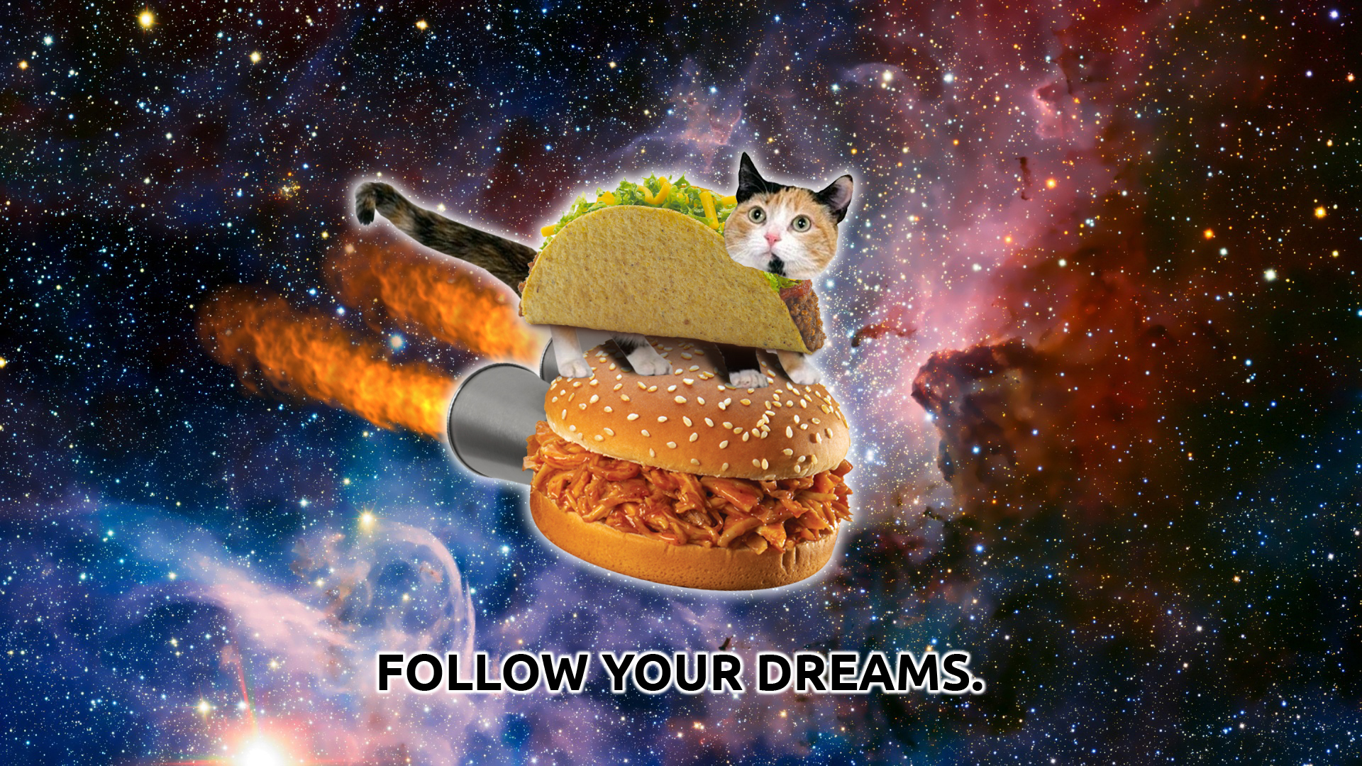 I made a Taco Cat Wallpaper from Google images HD