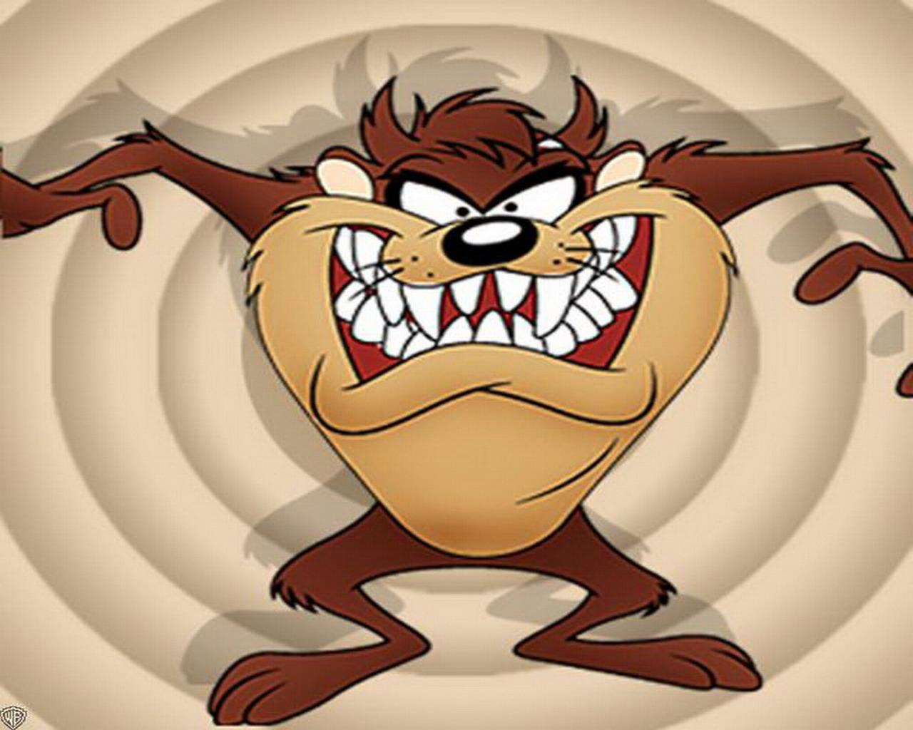 Looney Tunes - Tasmanian Devil Wallpapers - HD Wallpapers 7869