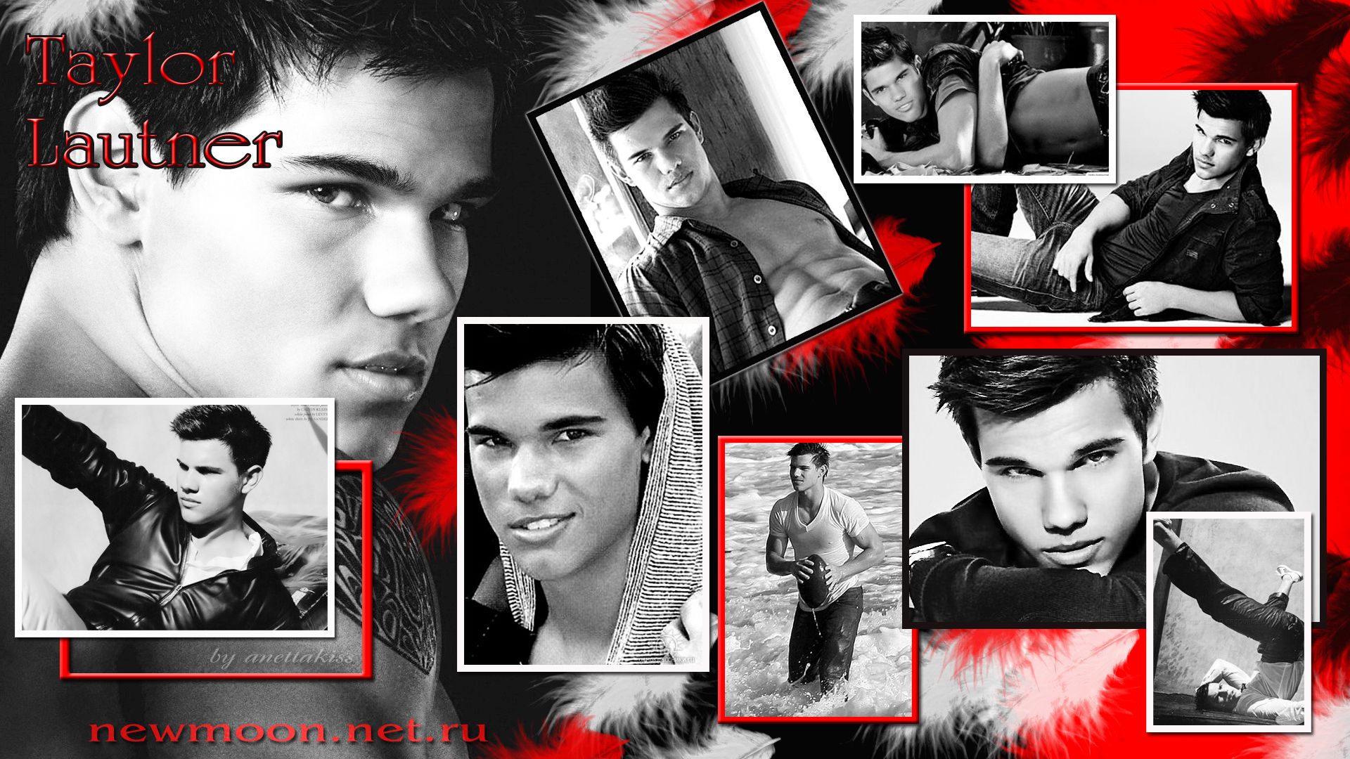 Taylor Lautner Twilight Wallpapers