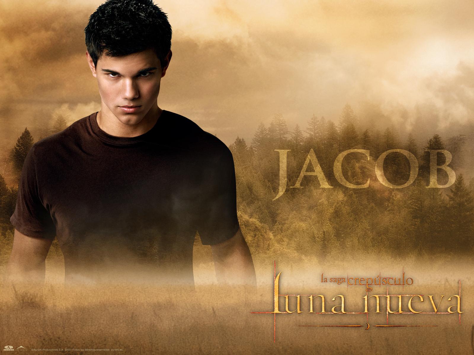 Taylor Lautner free Wallpapers 32 photos for your desktop