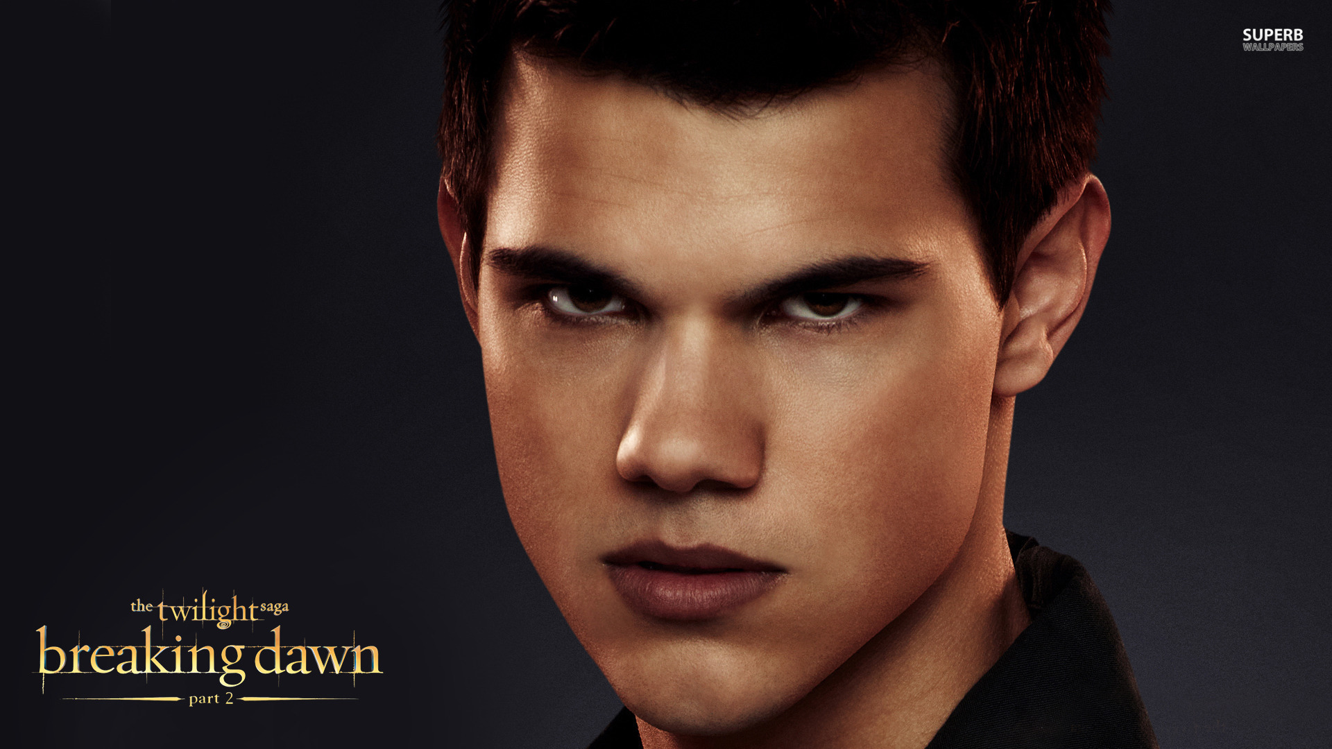 The Twilight Saga Breaking Dawn - Part 2 Desktop and mobile