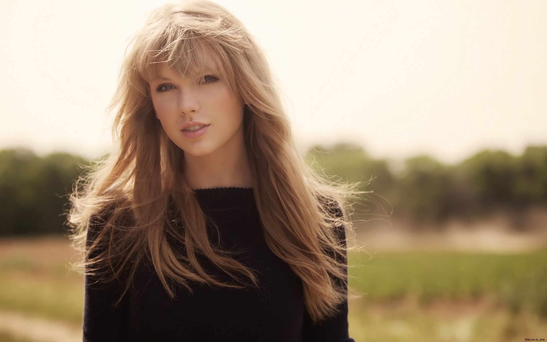Taylor Wallpapers
