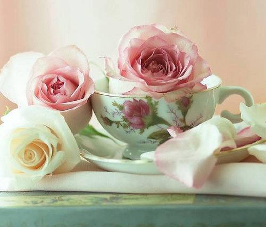 Roses and teacup - (#113315) - High Quality and Resolution ...