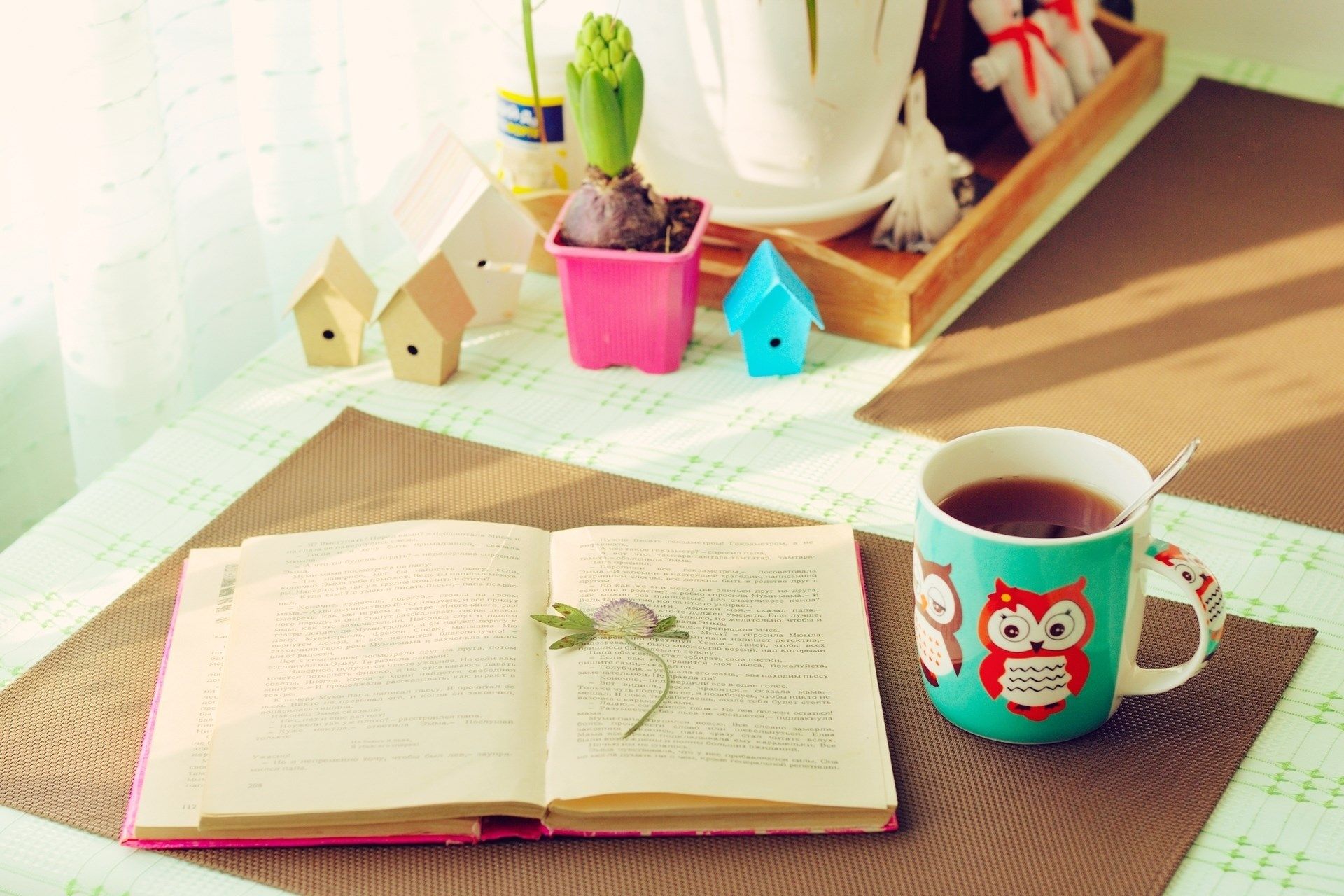 mood, tea cup, owl, cute, lovely, book, times, house, wallpaper