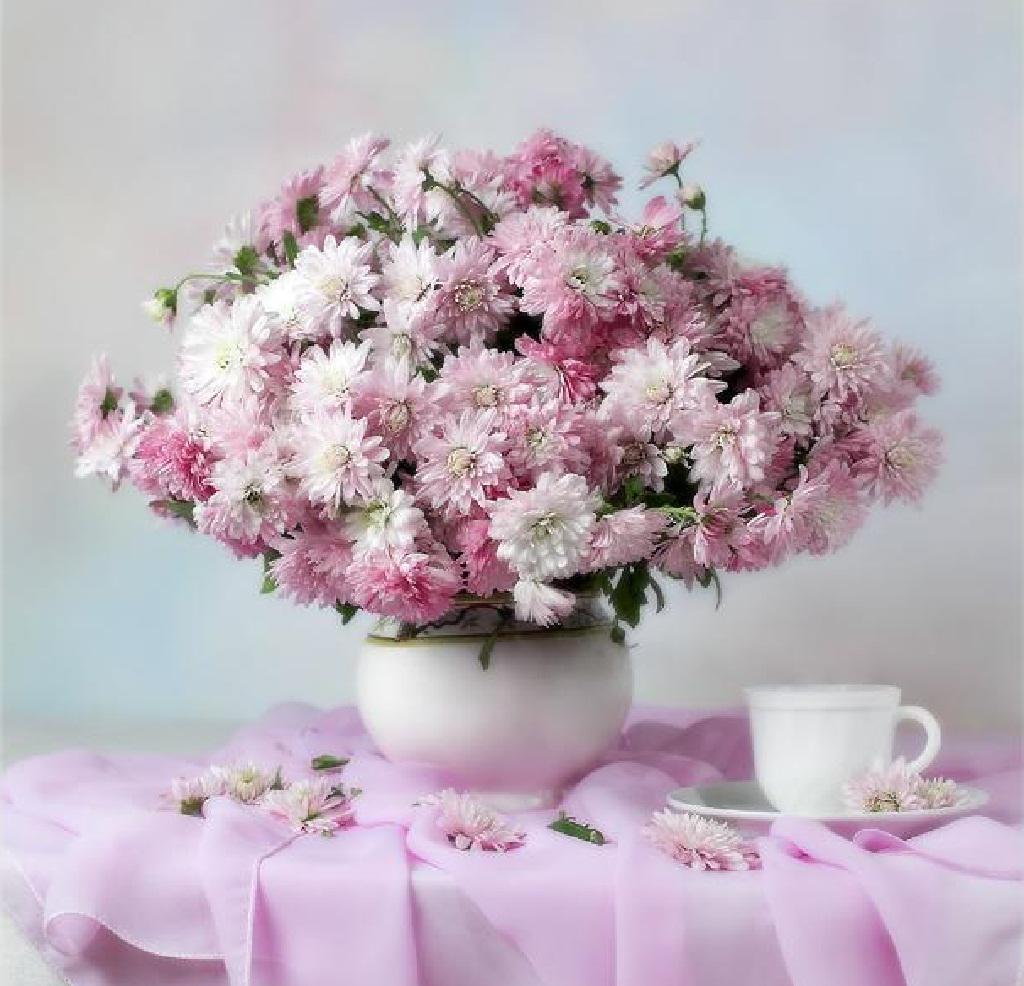 Pink flowers teacup - - High Quality and Resolution