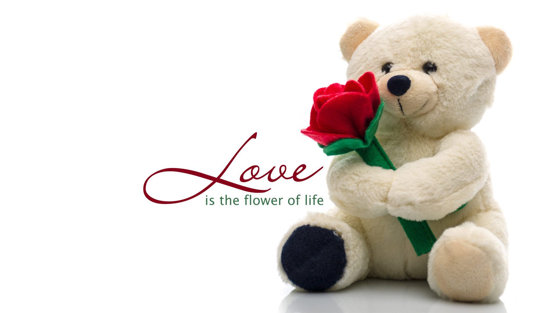 Cute Teddy Bear Wallpaper Of Love Free Download