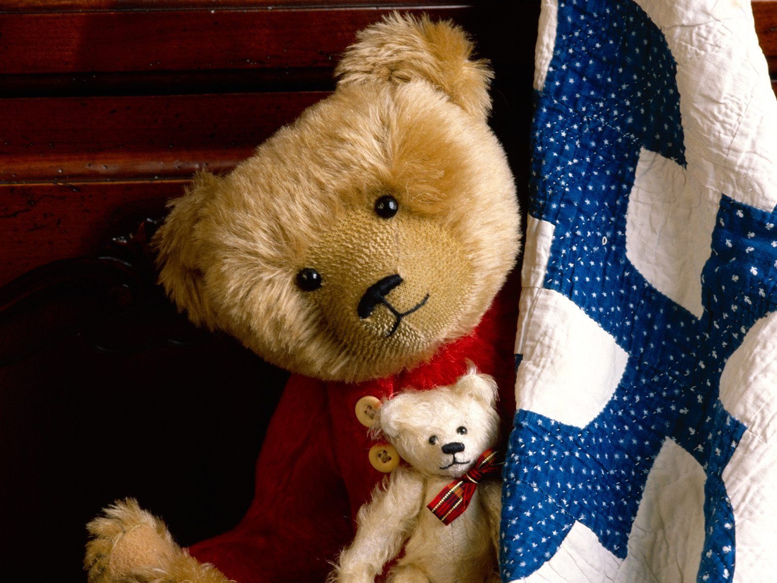 Teddy Bear Wallpaper Download PC Image