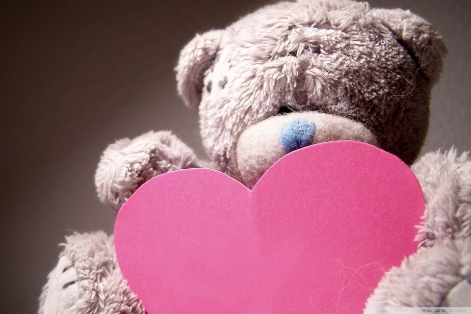Valentines Day Teddy Bear HD desktop wallpaper Widescreen High resolution