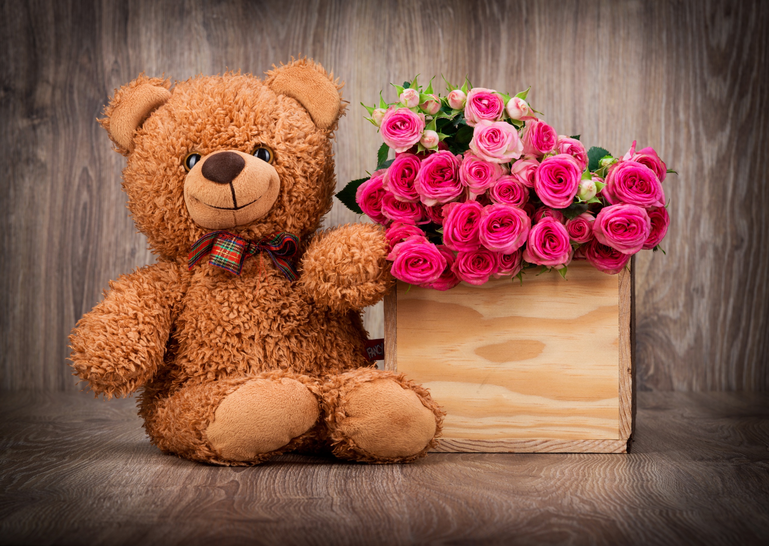 Cute Pink Teddy Bear Wallpapers For Desktop – Happy Teddy Day!