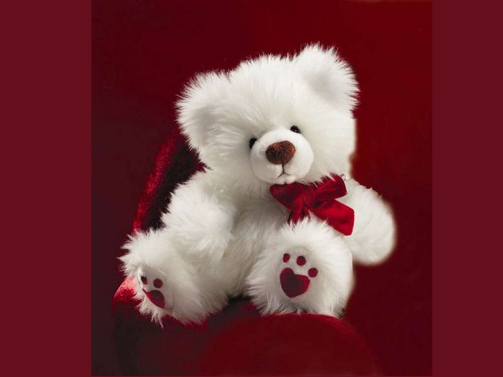 25 Smart Looking Teddy Bear Wallpapers – Life Quotes