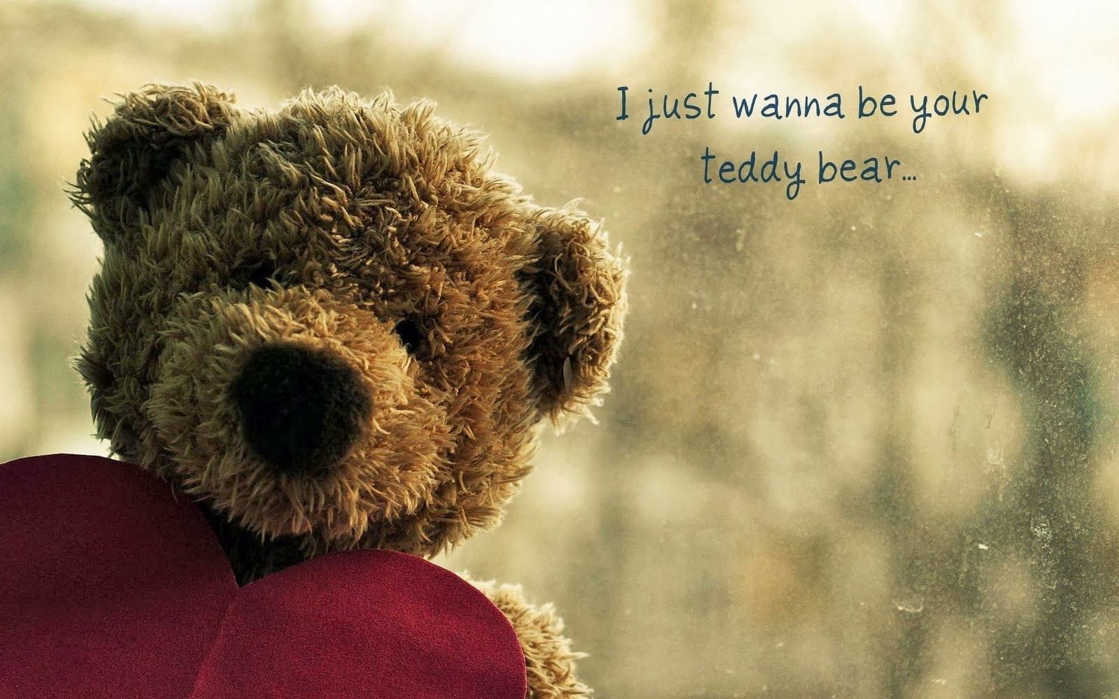 Cute Teddy Bear Pictures HD Images Free Download desktop ...
