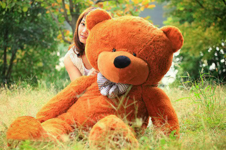 Lovely And Beautiful Teddy Bear Wallpapers Allfreshwallpaper