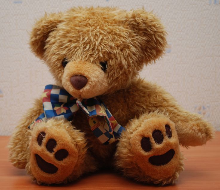 HD Wallpapers - Download Free Teddy Bear Wallpaper with HQ 1080p