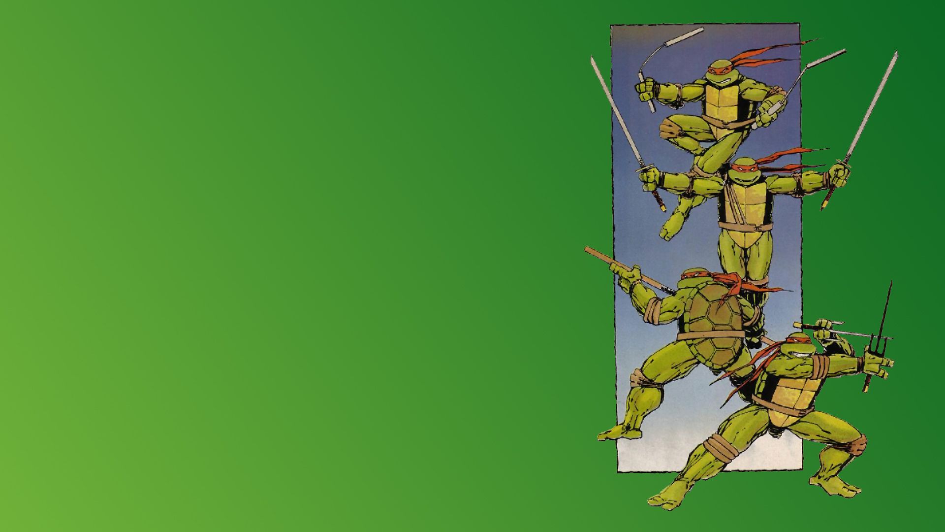 Cartoons Teenage Mutant Ninja Turtles wallpaper 1920x1080