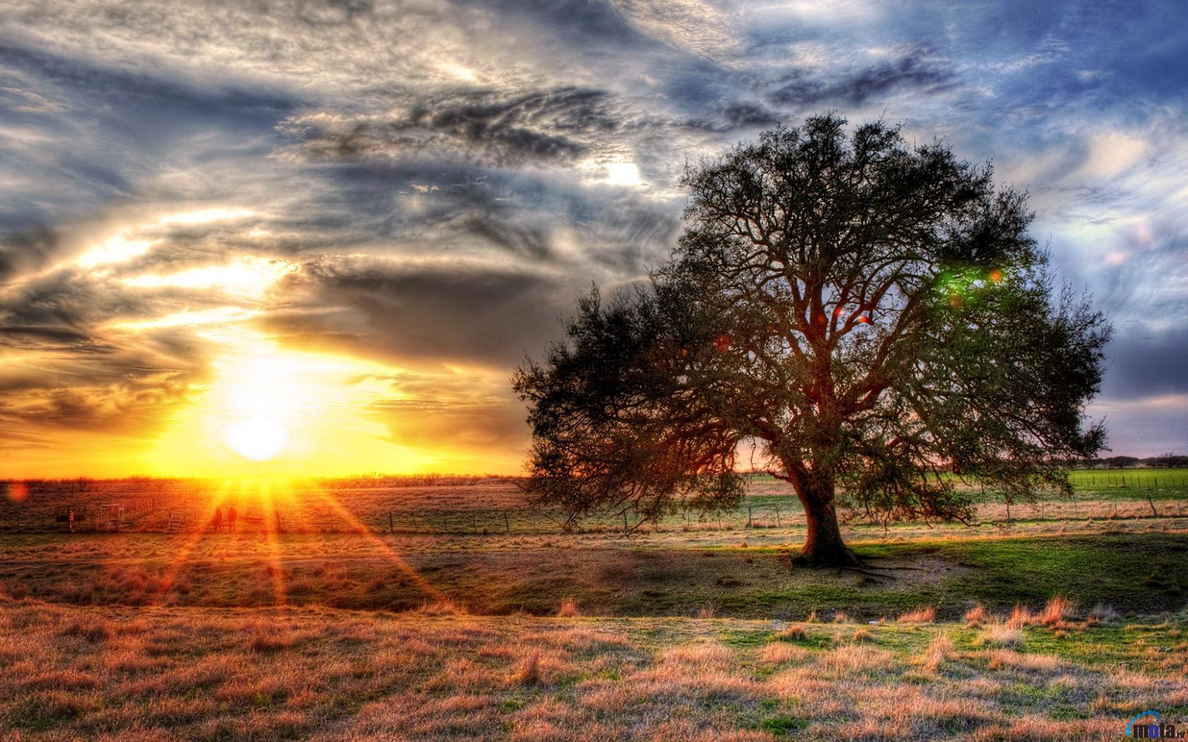 Download Wallpaper HDR Sunset on a Texas Farm 1680 x 1050