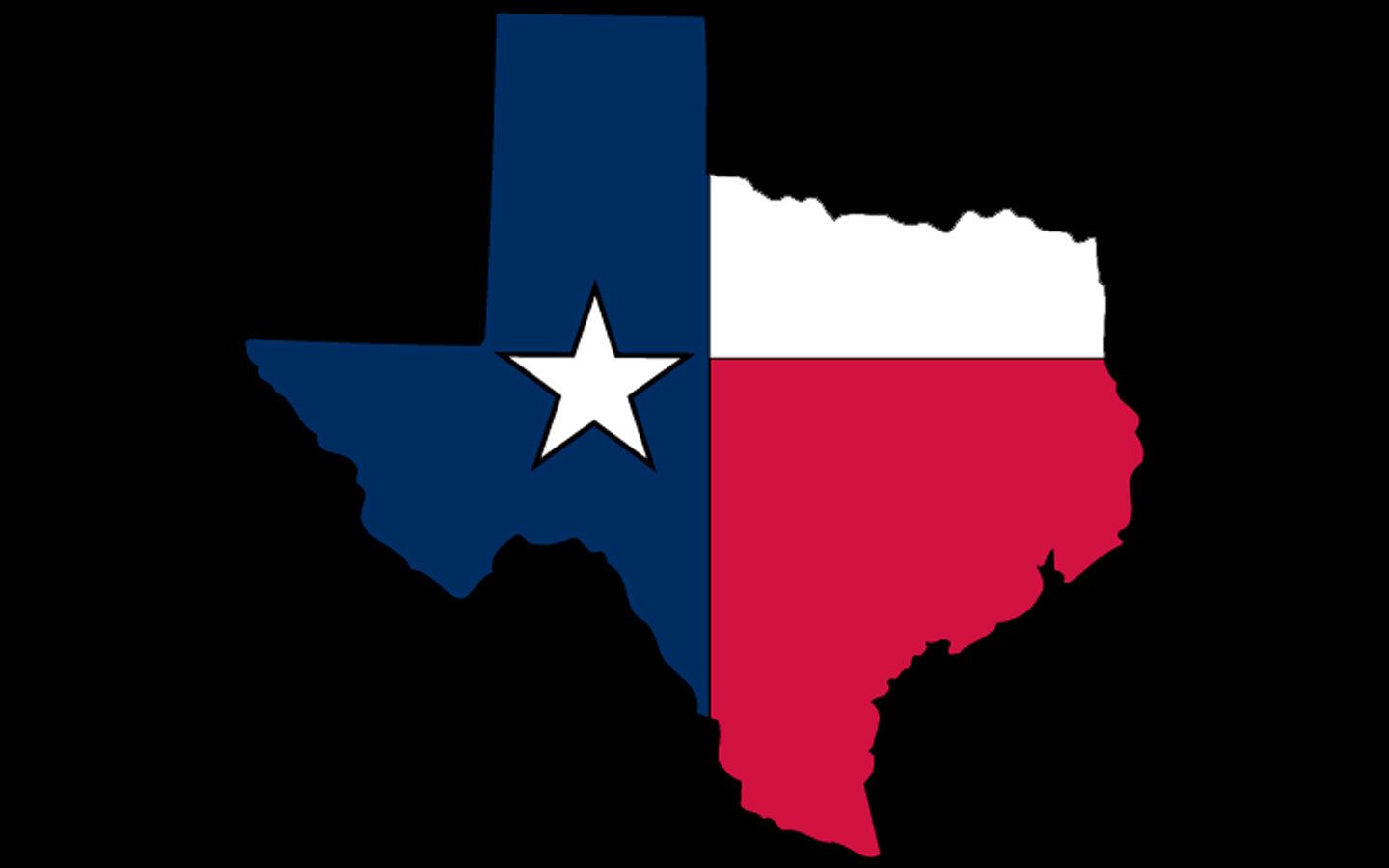 Texas Flag Wallpaper - 100478