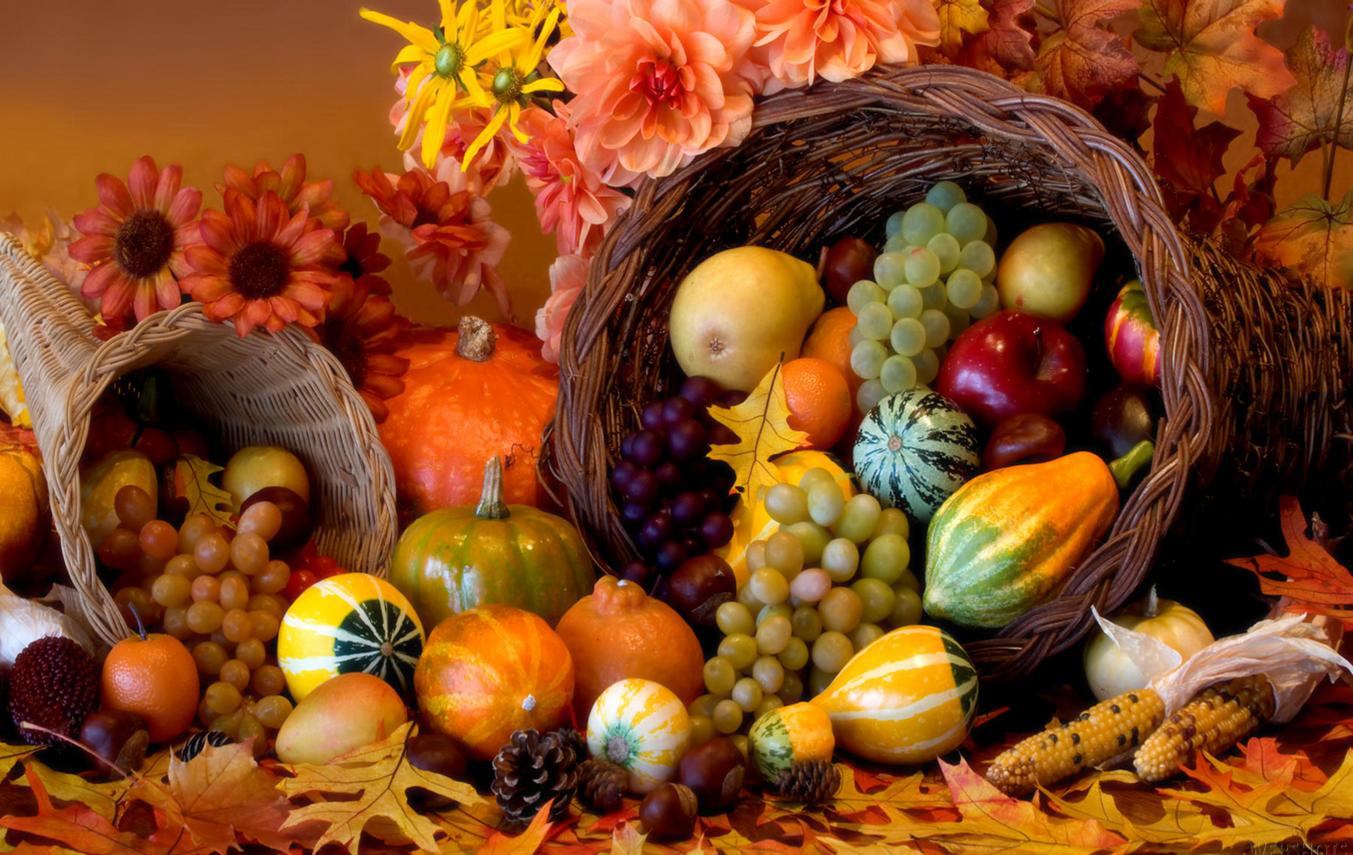 Thanksgiving wish pictures and quotes in HD